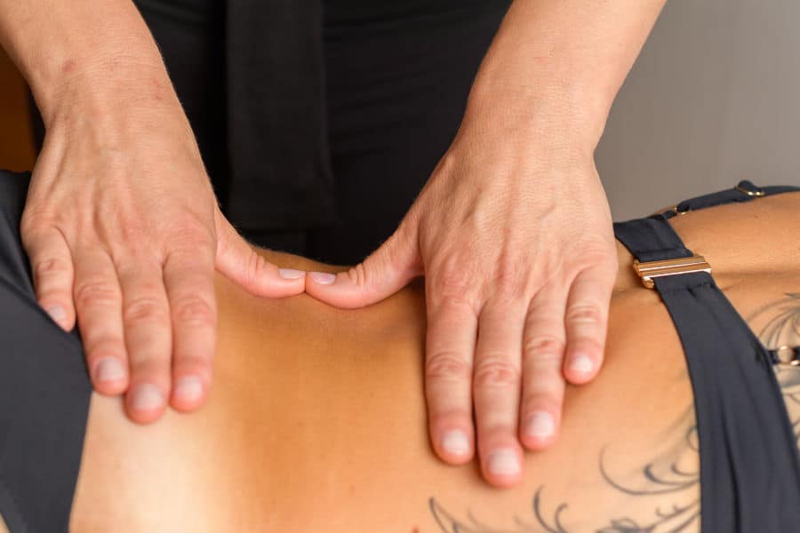 Seminar Bowen tehnika