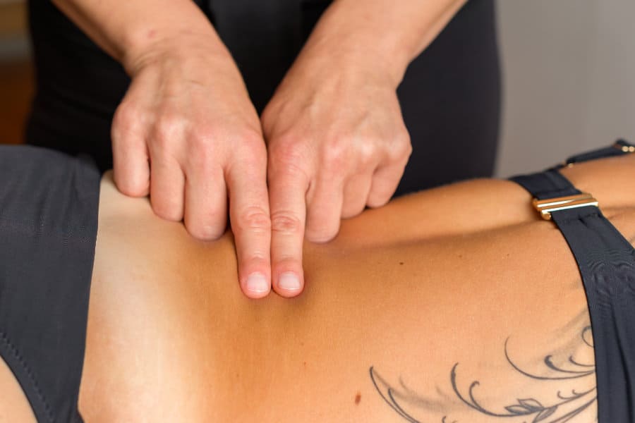 Seminar Bowen tehnika Mostar - Fitrehabhr