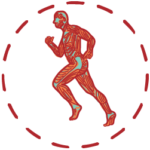 Fitrehabhr Funkcionalna dijagnostika ikona