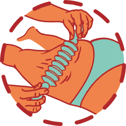 Maderoterapija Ikona - Fitrehabhr raspored edukacija