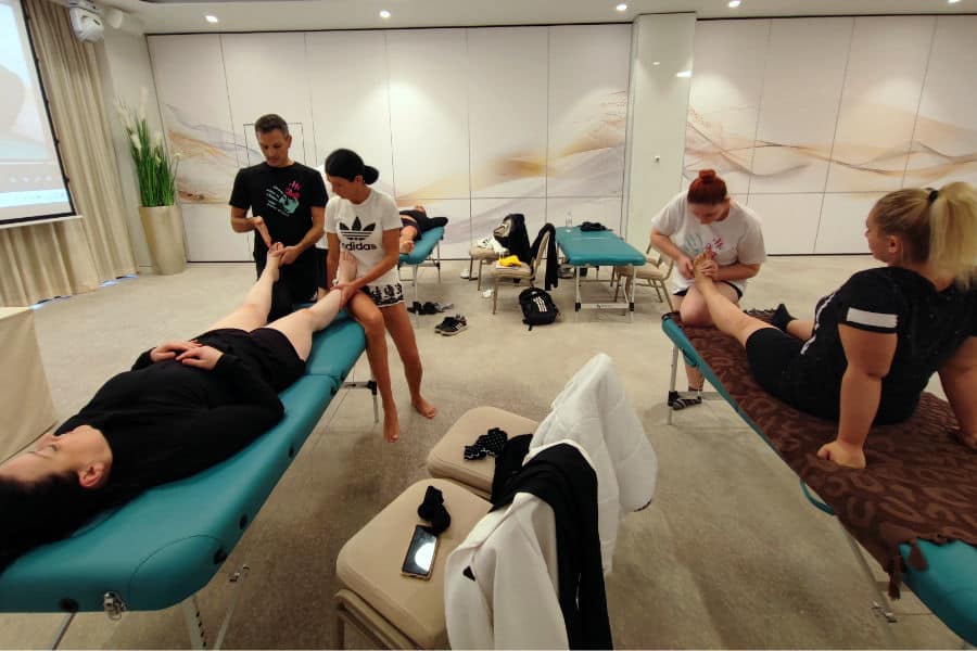 Artikulacija kralježnice i ekstremiteta - Edukacija jesen 2023